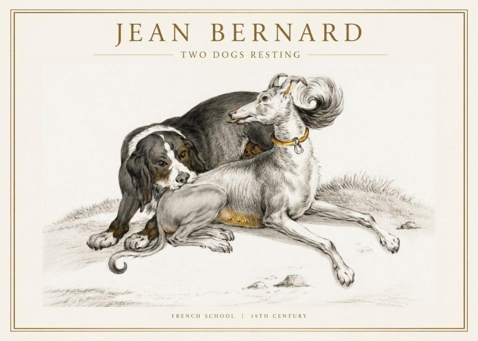 Jean Bernard Two Dogs Resting No1 - Póster