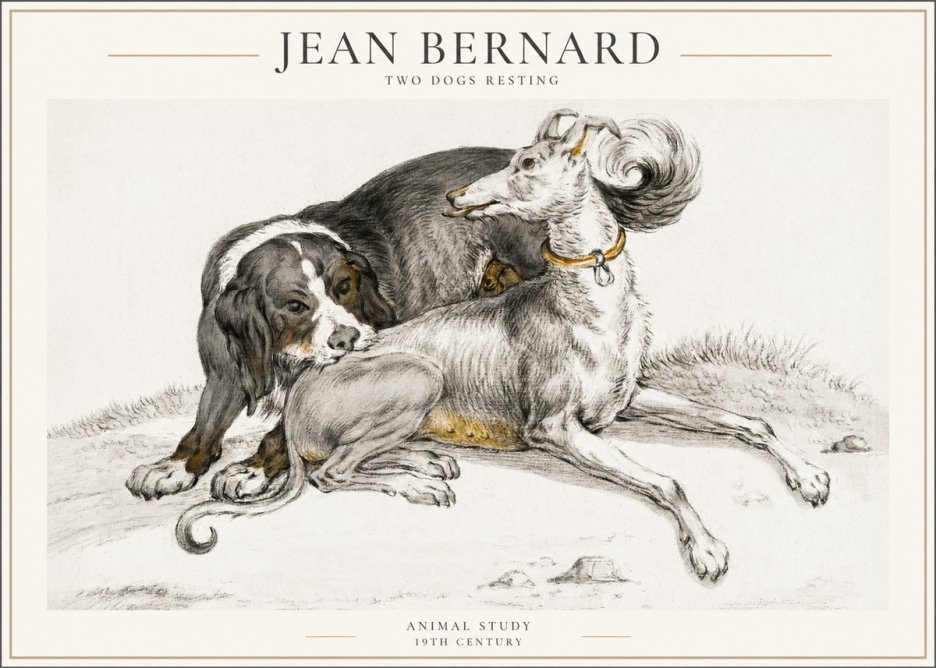 Jean Bernard Two Dogs Resting No4 - Póster