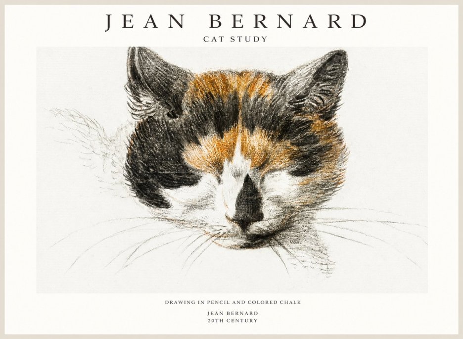 Jean Bernard Cat Study VIII No1 - Póster