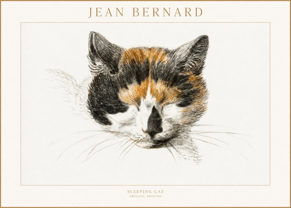 Jean Bernard Cat Study VIII No4 - Póster