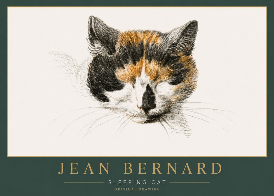 Jean Bernard Cat Study VIII No6 - Póster