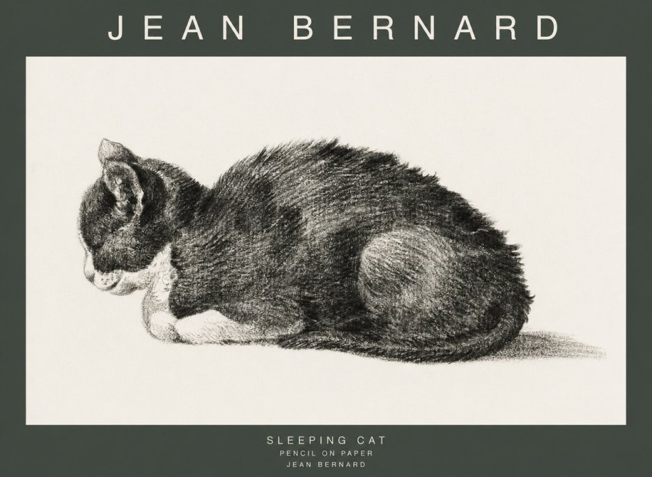 Jean Bernard Sleeping Cat VII No1 - Póster