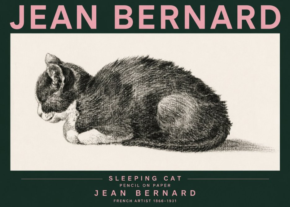 Jean Bernard Sleeping Cat VII No3 - Póster