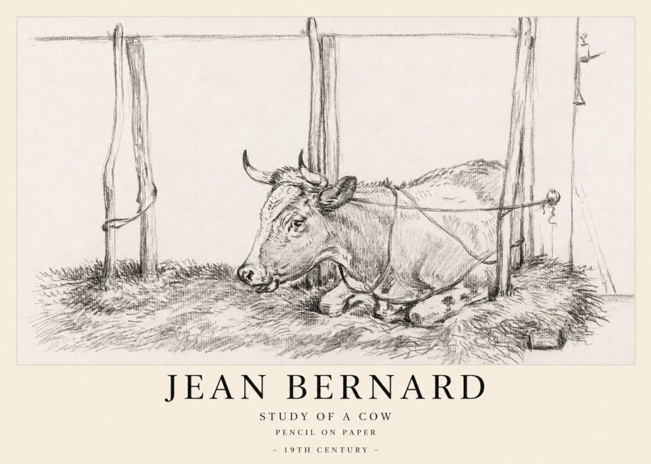Jean Bernard A Resting Cow No2 - Póster