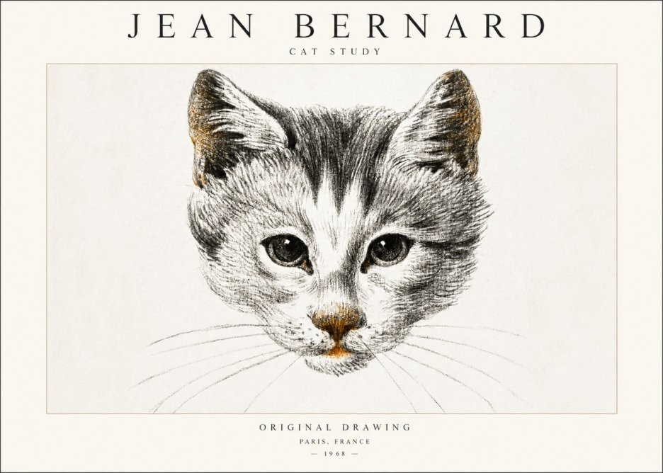 Jean Bernard Cat Study IX No6 - Póster