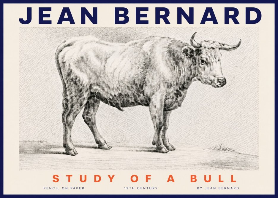 Jean Bernard Study of a Bull IV No4 - Póster