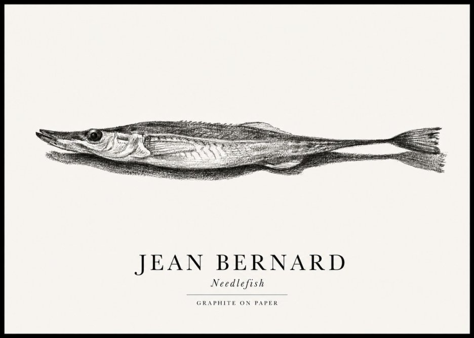 Jean Bernard Needlefish No1 - Póster