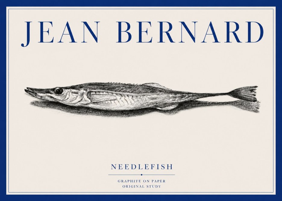 Jean Bernard Needlefish No3 - Póster