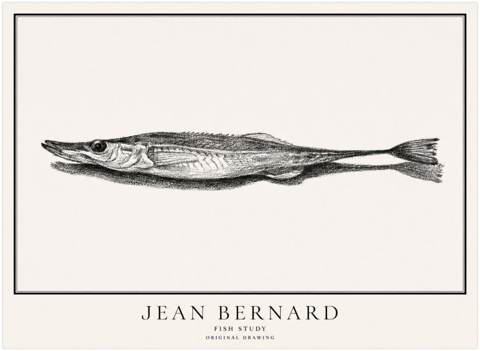 Jean Bernard Needlefish No5 - Póster