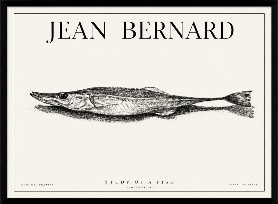 Jean Bernard Needlefish No6 - Póster