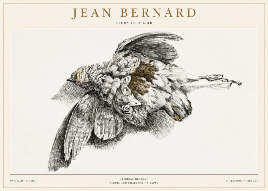 Jean Bernard Study of a Bird III No1 - Póster