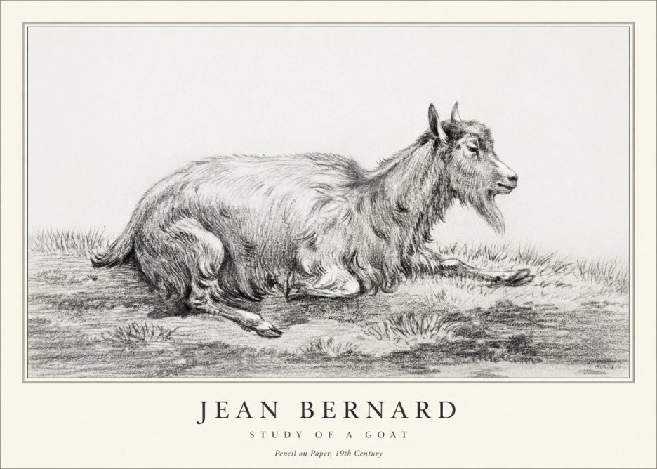 Jean Bernard Study of a Goat V No1 - Póster