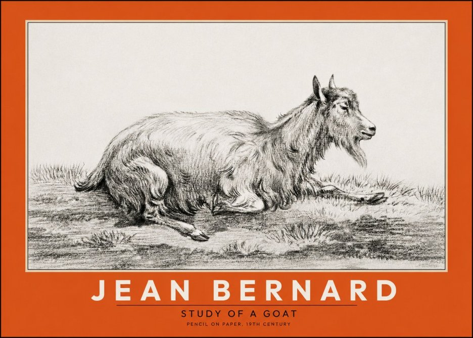 Jean Bernard Study of a Goat V No2 - Póster