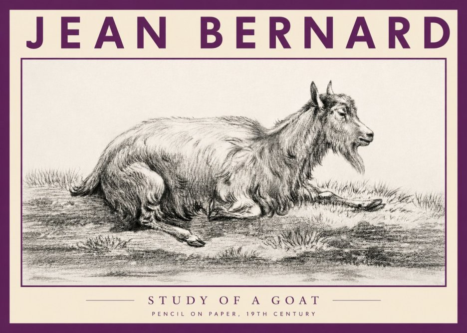 Jean Bernard Study of a Goat V No3 - Póster