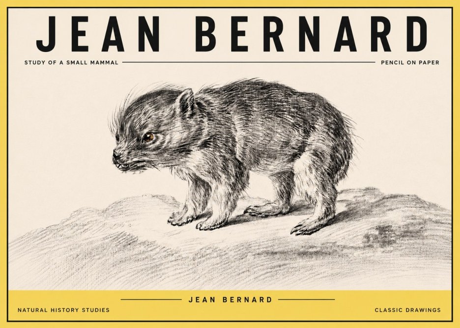 Jean Bernard Study of a Small Mammal No4 - Póster