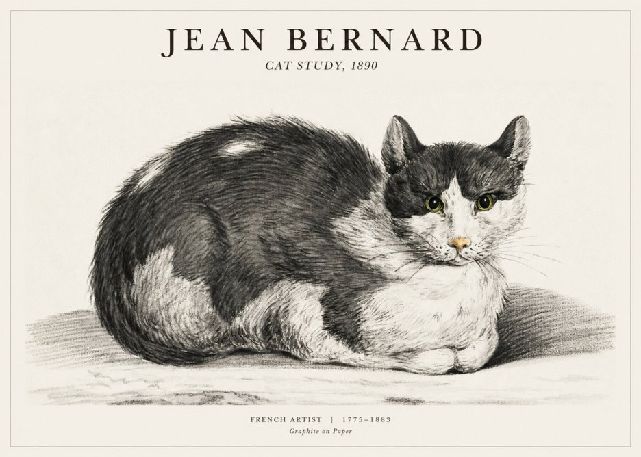 Jean Bernard Cat Resting No3 - Póster
