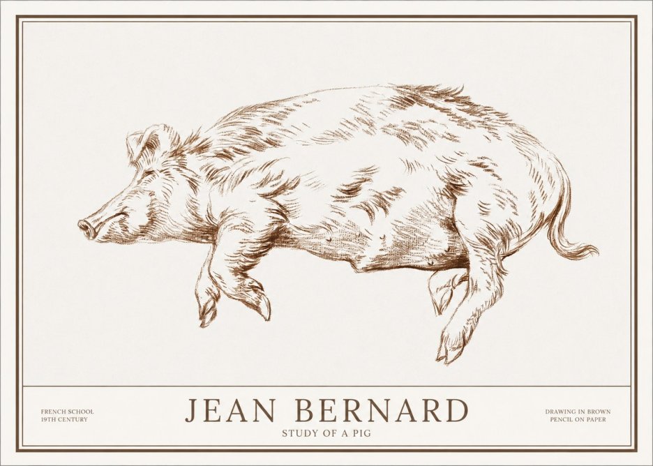 Jean Bernard Study of a Pig II No1 - Póster