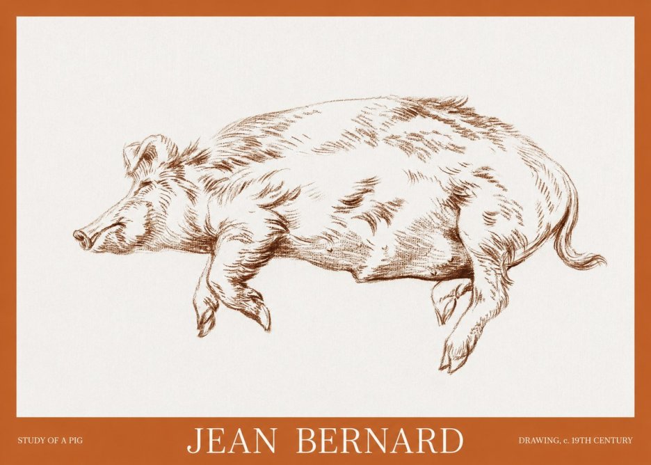 Jean Bernard Study of a Pig II No6 - Póster