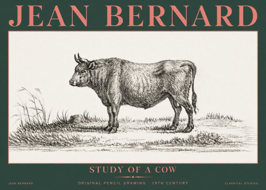 Jean Bernard Study of a Cow XIII No5 - Póster