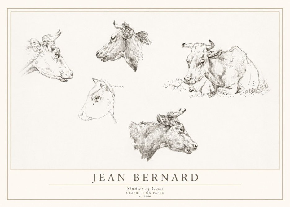 Jean Bernard Studies of Cows I No1 - Póster