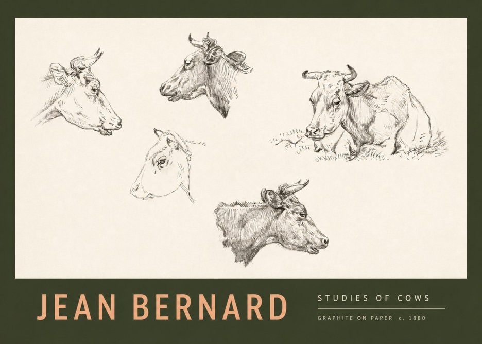 Jean Bernard Studies of Cows I No2 - Póster