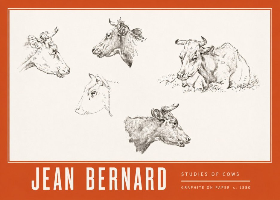 Jean Bernard Studies of Cows I No3 - Póster