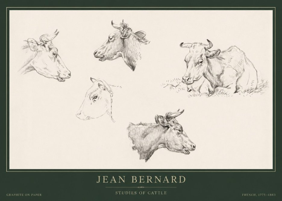 Jean Bernard Studies of Cows I No5 - Póster