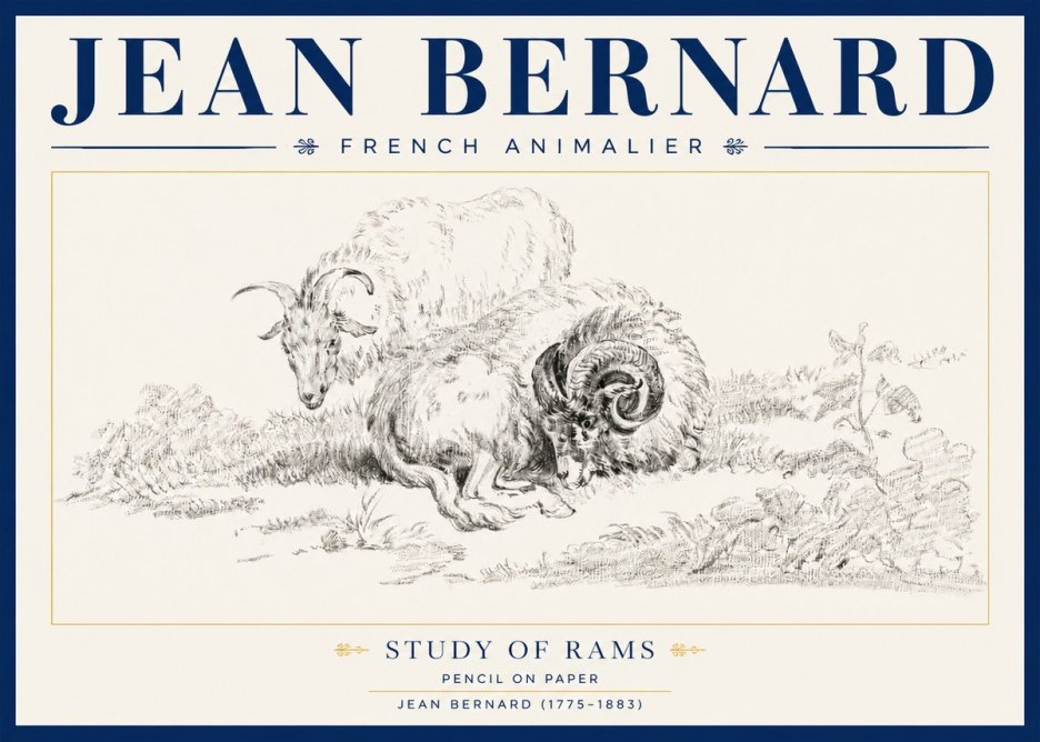 Jean Bernard Study of Sheep No4 - Póster