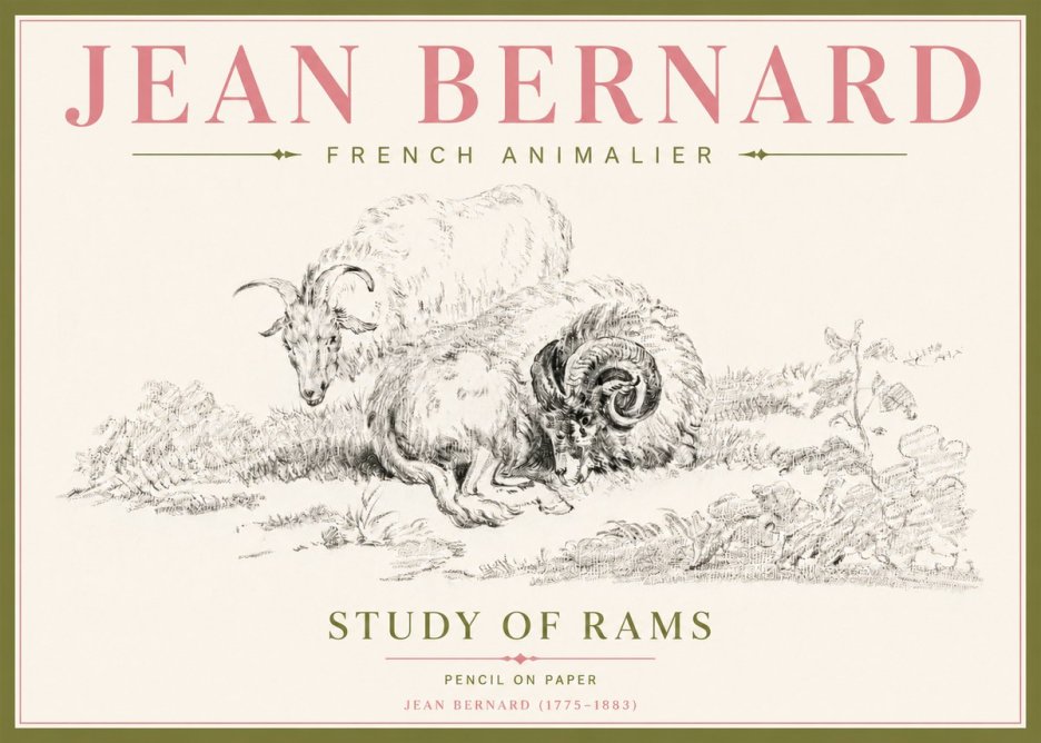 Jean Bernard Study of Sheep No5 - Póster