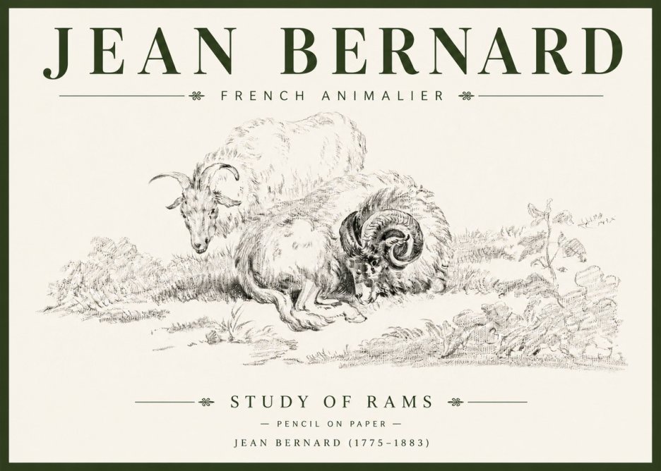 Jean Bernard Study of Sheep No6 - Póster