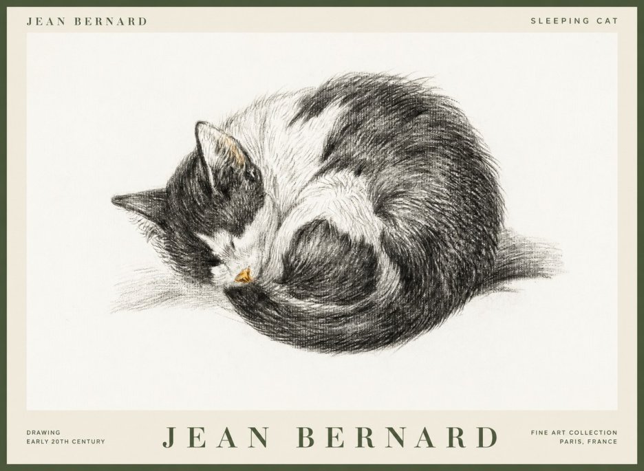 Jean Bernard Sleeping Cat VIII No1 - Póster