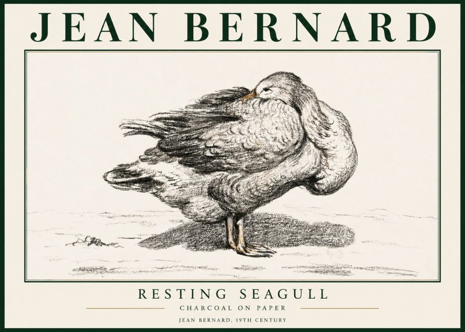 Jean Bernard Resting Seagull No3 - Póster