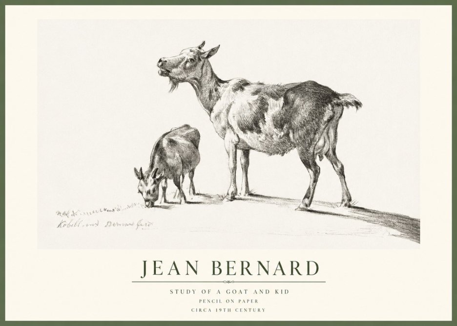 Jean Bernard Study of a Goat and Kid No1 - Póster