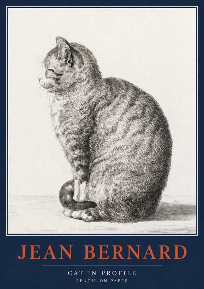 Jean Bernard Cat in Profile No2 - Póster