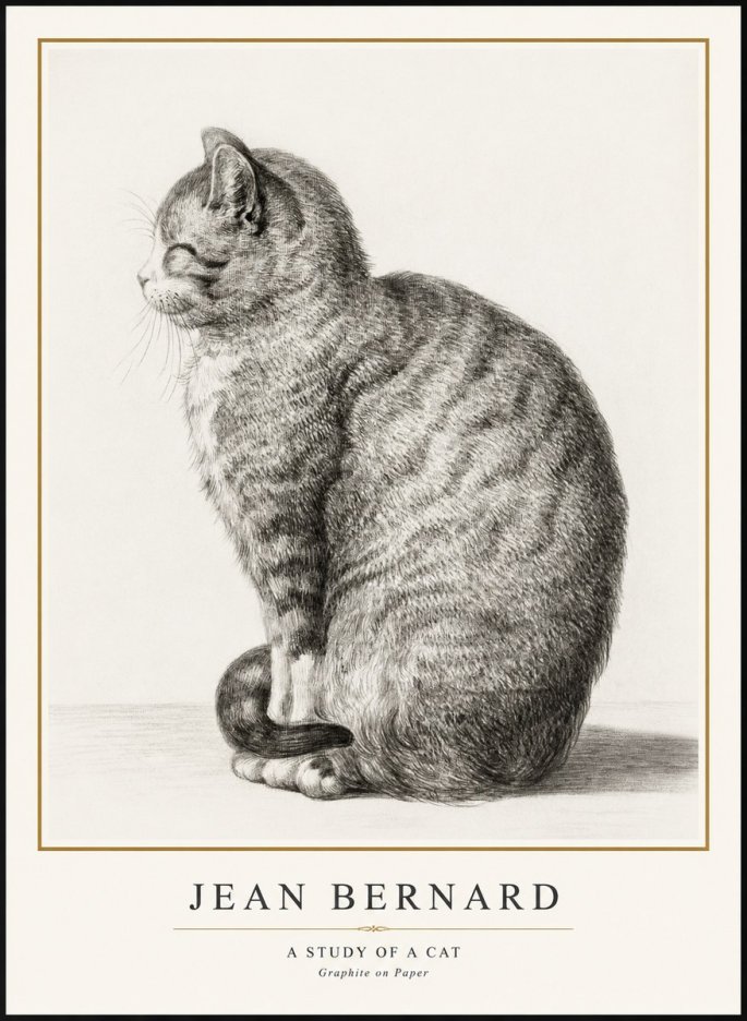 Jean Bernard Cat in Profile No3 - Póster