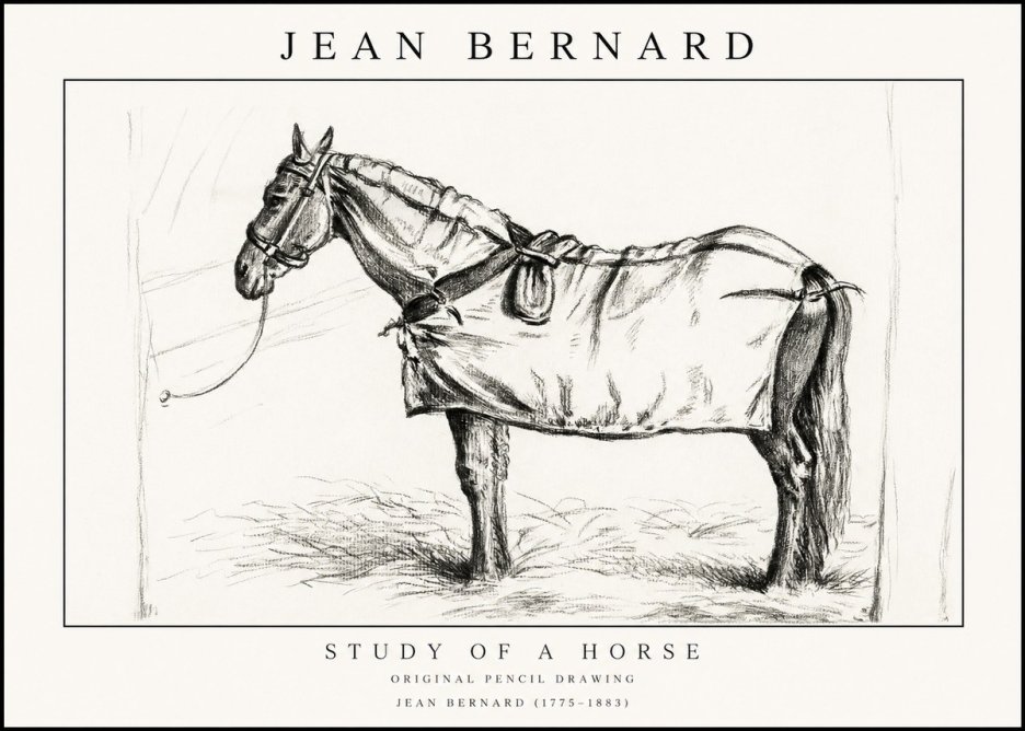Jean Bernard Study of a Horse XI No1 - Póster