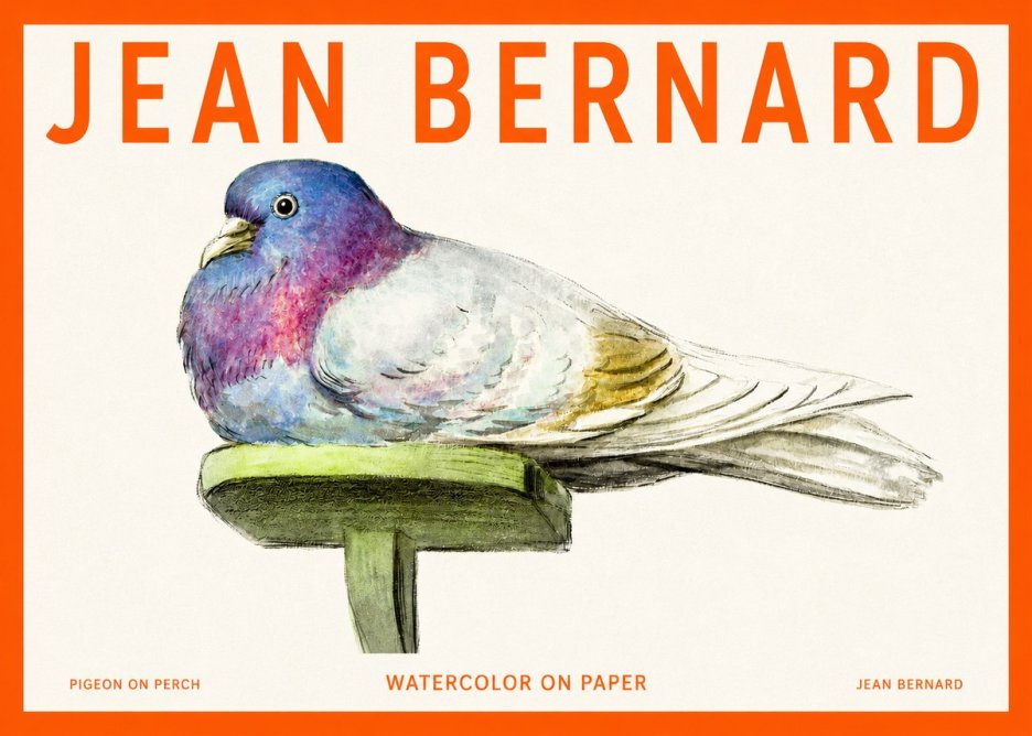 Jean Bernard Pigeon on Perch No2 - Póster