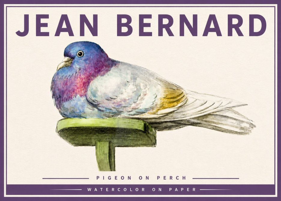 Jean Bernard Pigeon on Perch No4 - Póster