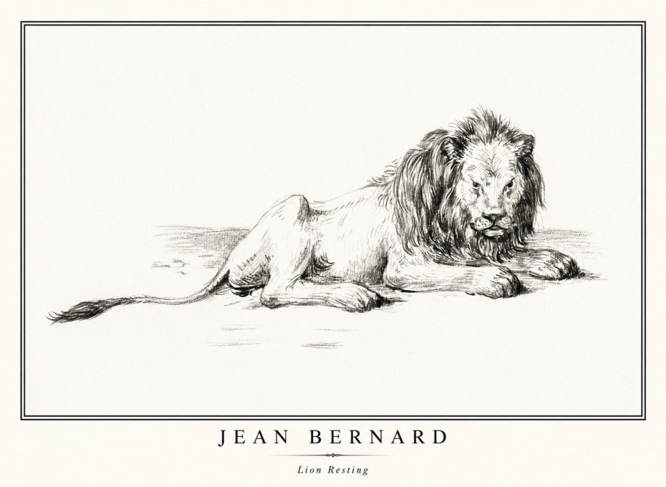 Jean Bernard Lion Resting No1 - Póster