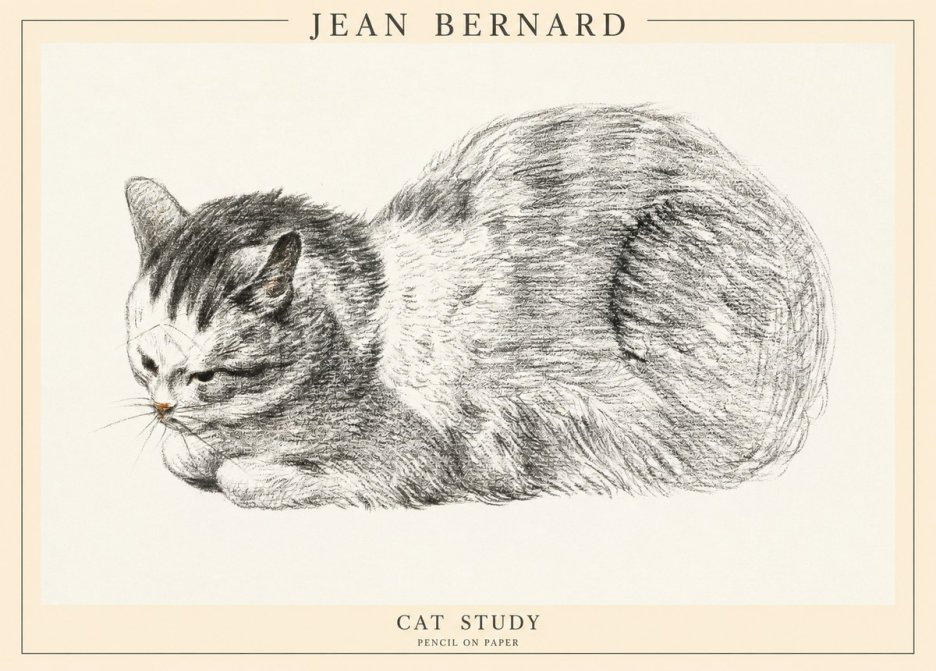 Jean Bernard Cat Study X No1 - Póster