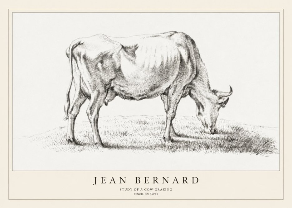 Jean Bernard Study of a Cow Grazing II No1 - Póster