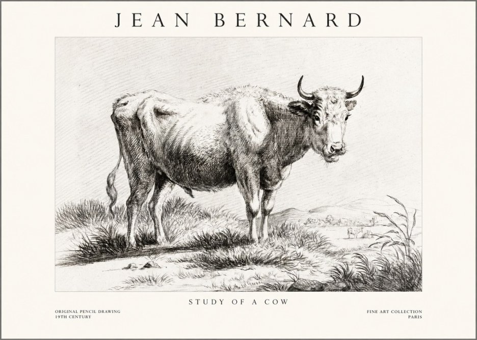 Jean Bernard Study of a Cow XVI No1 - Póster