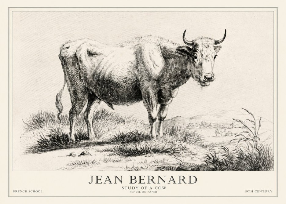 Jean Bernard Study of a Cow XVI No2 - Póster
