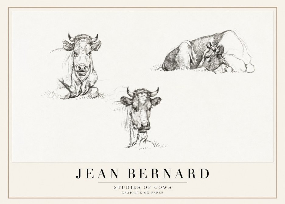 Jean Bernard Studies of Cows II No1 - Póster