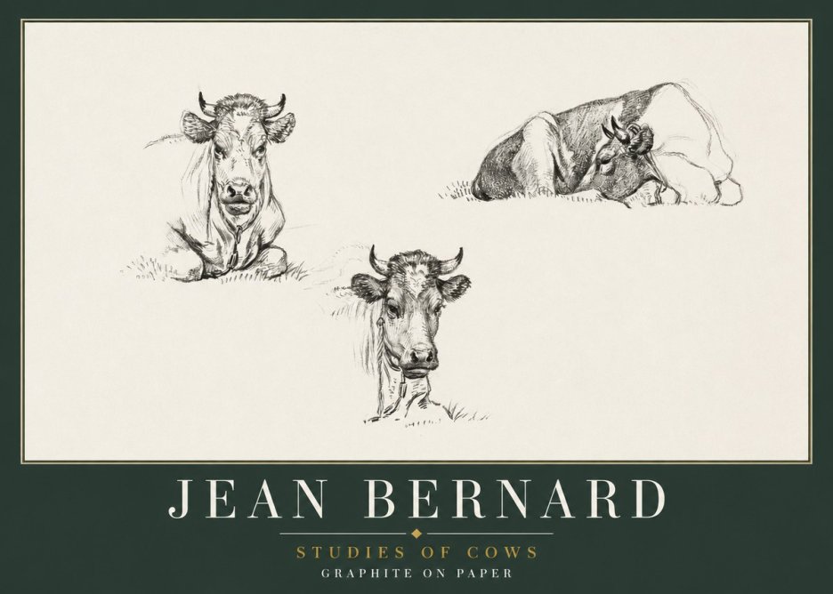 Jean Bernard Studies of Cows II No2 - Póster