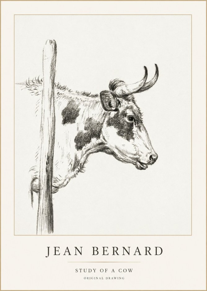 Jean Bernard Study of a Cow XVII No1 - Póster