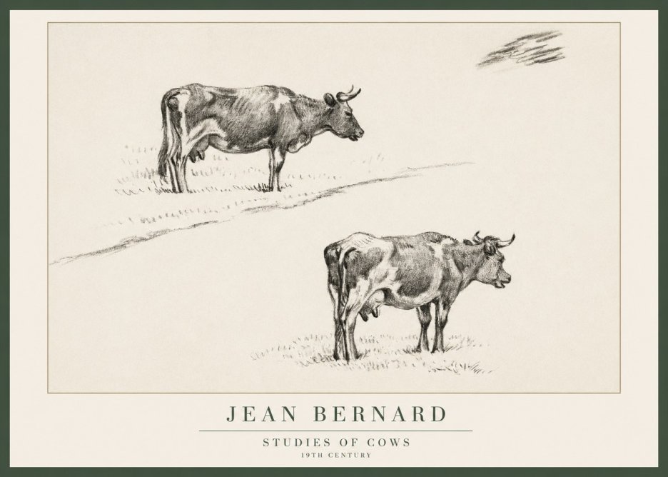 Jean Bernard Studies of Cows III No1 - Póster