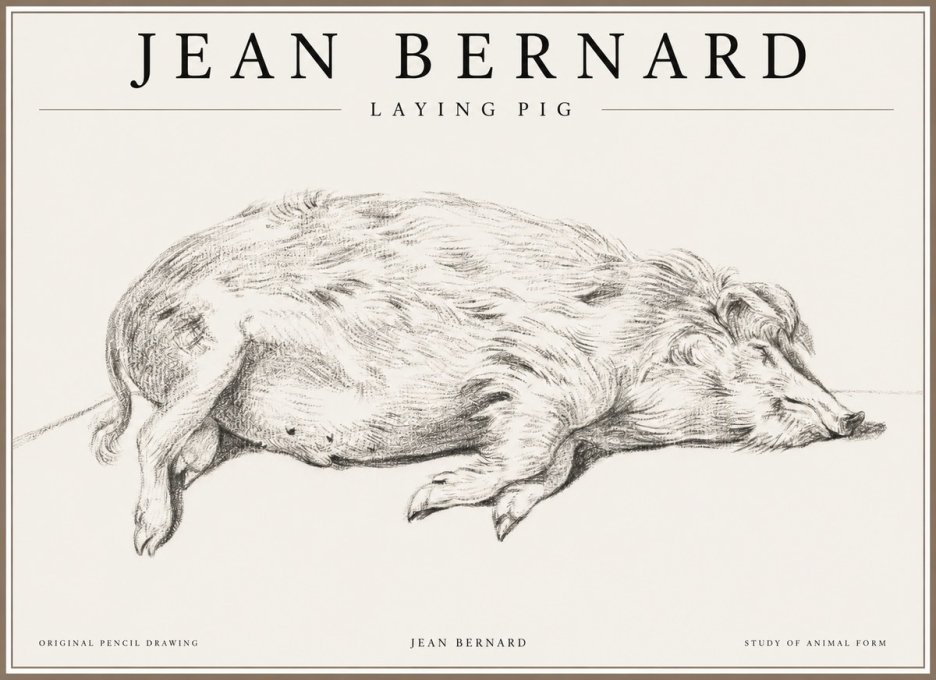 Jean Bernard Laying Pig No1 - Póster
