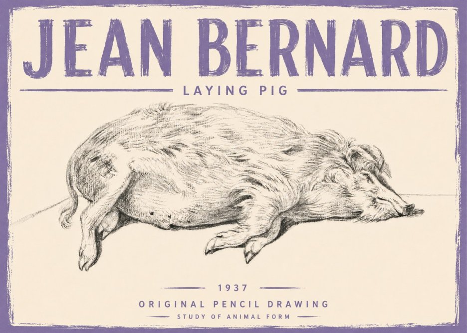 Jean Bernard Laying Pig No5 - Póster