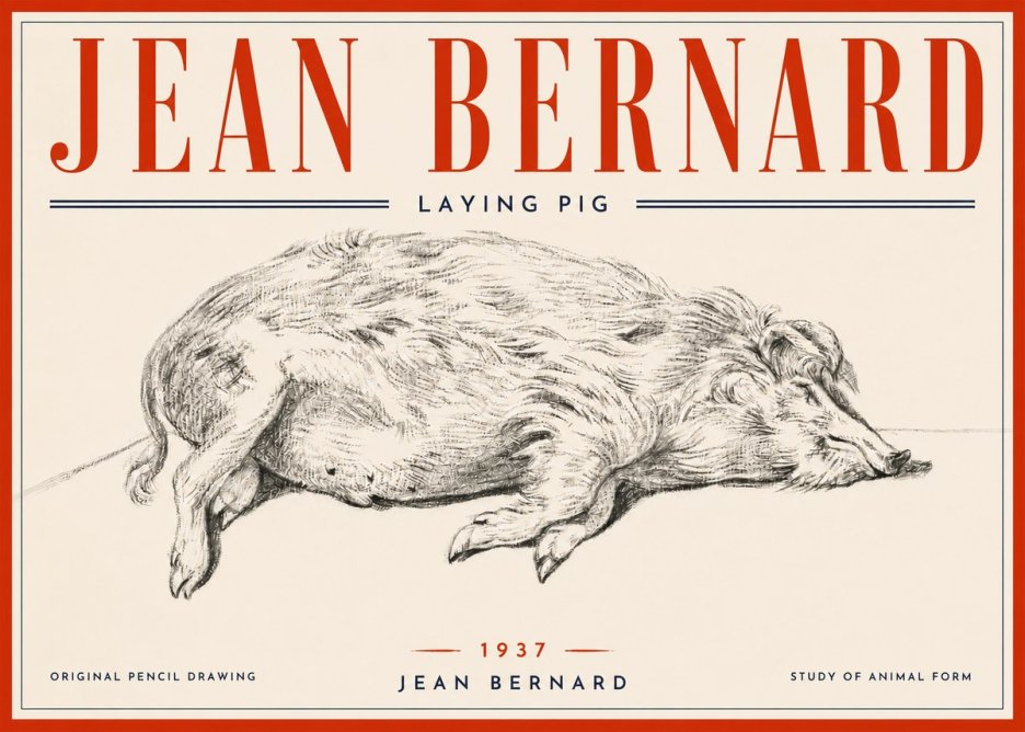 Jean Bernard Laying Pig No6 - Póster